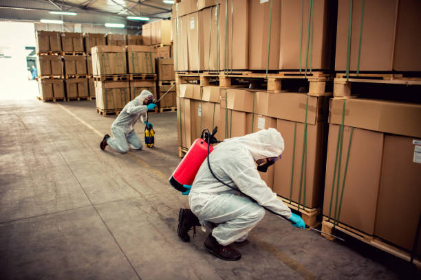 Best Best Pest Control Companies  in La Vista, NE