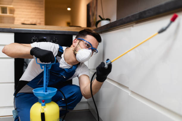 Best Pest Control for Homes  in La Vista, NE
