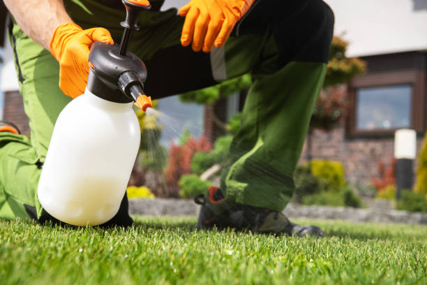 Best Wasp Removal Services  in La Vista, NE