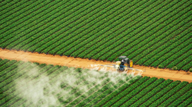 Best Commercial Pest Control Services  in La Vista, NE